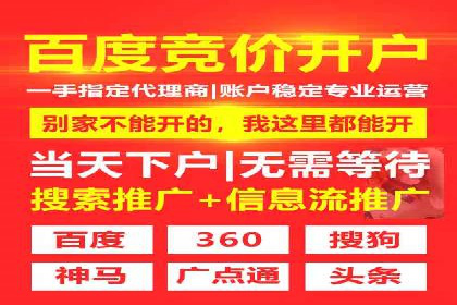 SEM托管公司案例研究：转化路径优化